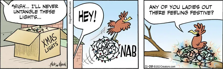 Dogs of C-Kennel for Nov 28, 2022