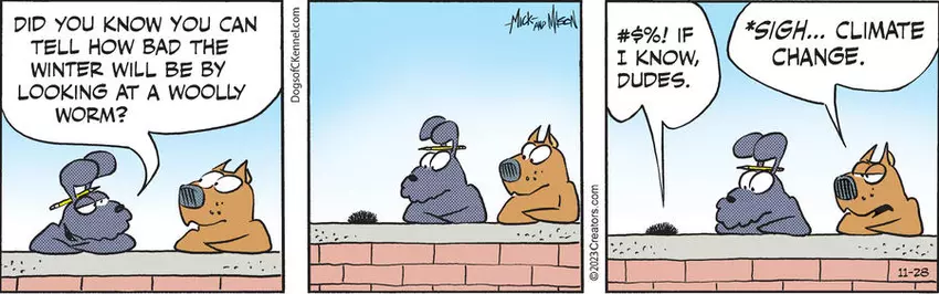 Dogs of C-Kennel for Nov 28, 2023