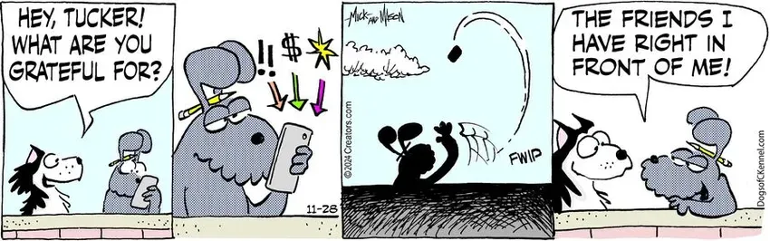 Dogs of C-Kennel for Nov 28, 2024