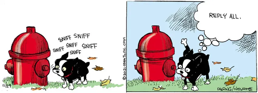 Zack Hill for Nov 29, 2021