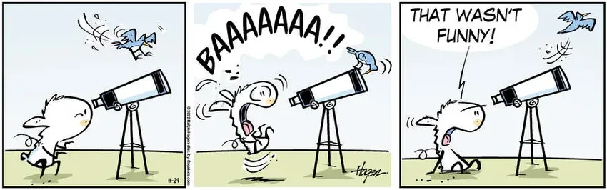 The Barn for Nov 29, 2022