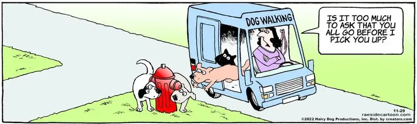 The Other Coast for Nov 29, 2022