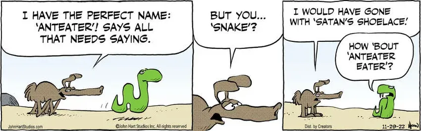 B.C. for Nov 29, 2022