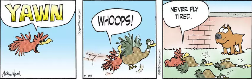 Dogs of C-Kennel for Nov 29, 2023