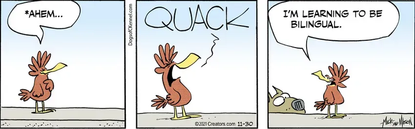 Dogs of C-Kennel for Nov 30, 2021