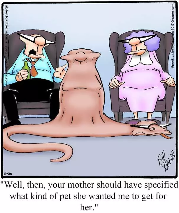 Spectickles for Nov 30, 2023