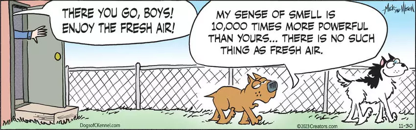 Dogs of C-Kennel for Nov 30, 2023