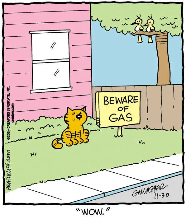Heathcliff for Nov 30, 2024