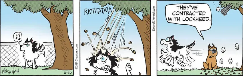 Dogs of C-Kennel for Nov 30, 2024