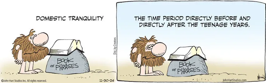 B.C. for Nov 30, 2024