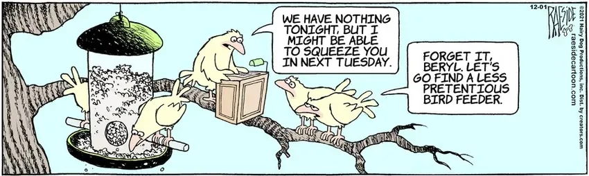 The Other Coast for Dec 01, 2021