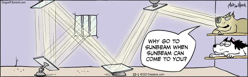 Dogs of C-Kennel for Dec 01, 2021