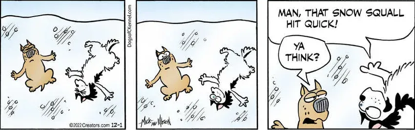 Dogs of C-Kennel for Dec 01, 2022