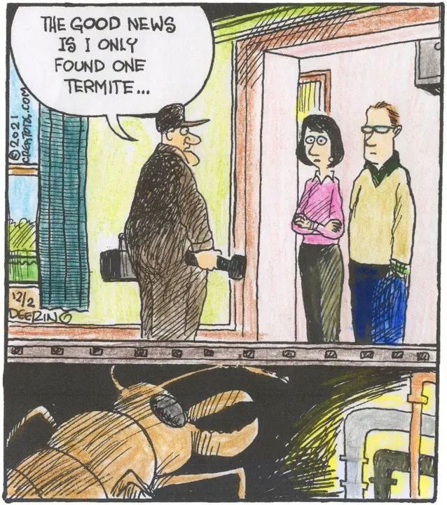 Strange Brew for Dec 02, 2021