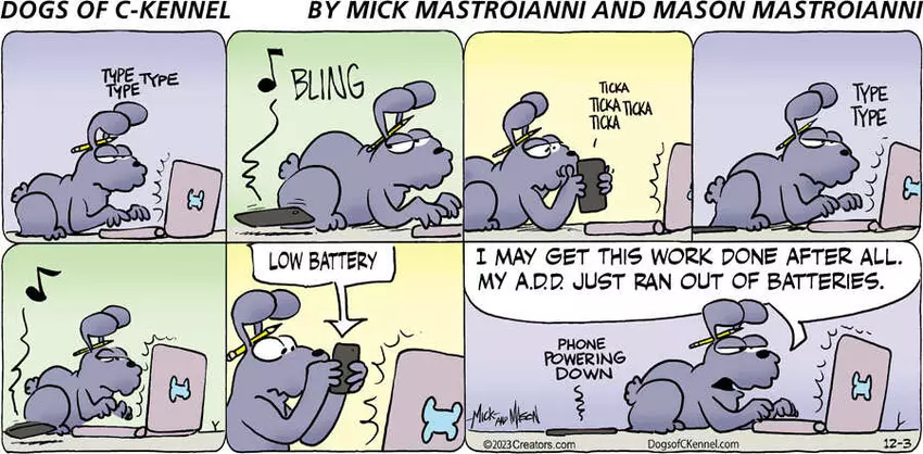 Dogs of C-Kennel for Dec 03, 2023