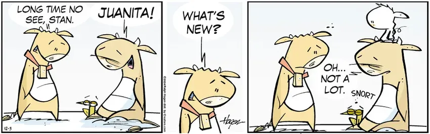 The Barn for Dec 03, 2024