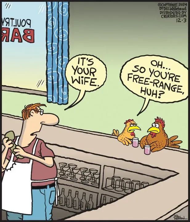 Free Range for Dec 03, 2024