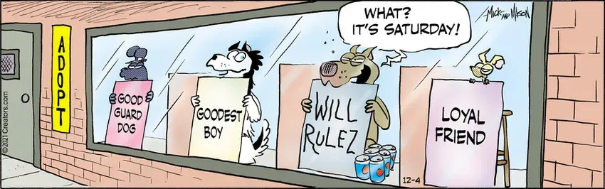 Dogs of C-Kennel for Dec 04, 2021