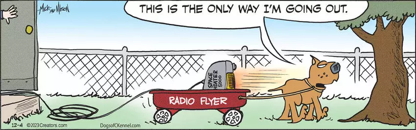 Dogs of C-Kennel for Dec 04, 2023