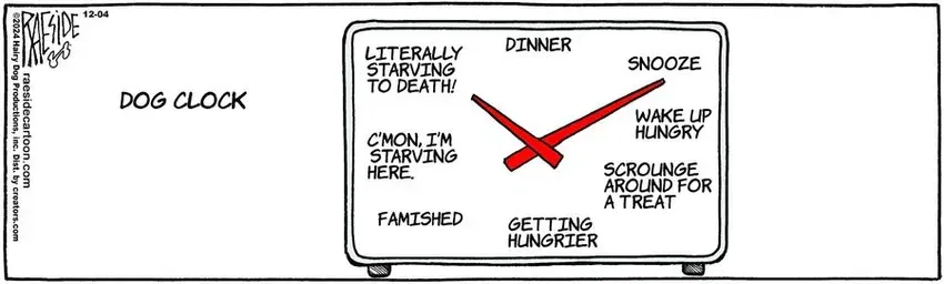 The Other Coast for Dec 04, 2024