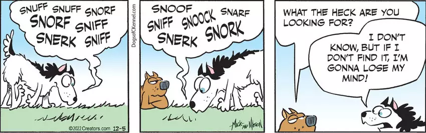 Dogs of C-Kennel for Dec 05, 2022