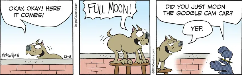 Dogs of C-Kennel for Dec 06, 2021