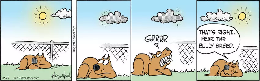 Dogs of C-Kennel for Dec 06, 2023