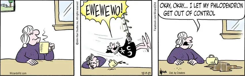 Wizard of Id for Dec 07, 2021