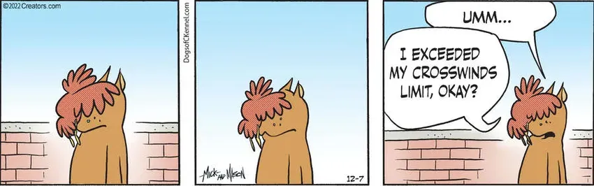 Dogs of C-Kennel for Dec 07, 2022