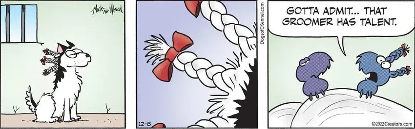 Dogs of C-Kennel for Dec 08, 2022