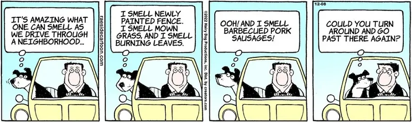 The Other Coast for Dec 08, 2022