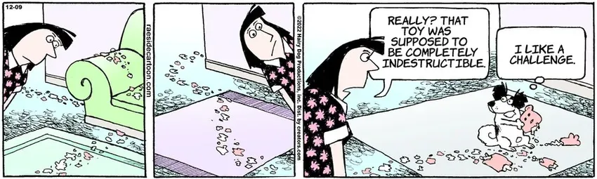 The Other Coast for Dec 09, 2022