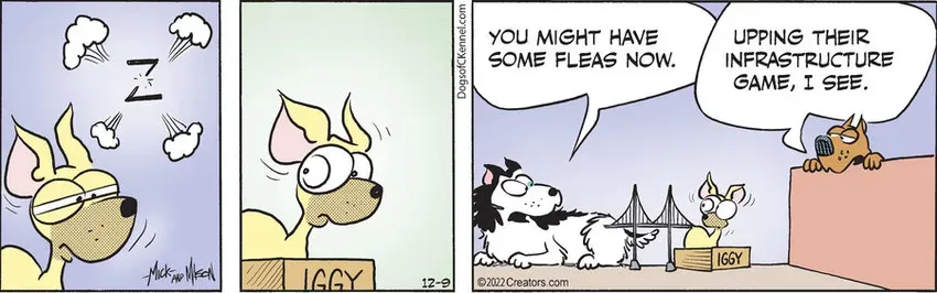 Dogs of C-Kennel for Dec 09, 2022