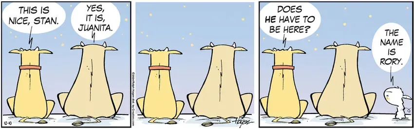 The Barn for Dec 10, 2024