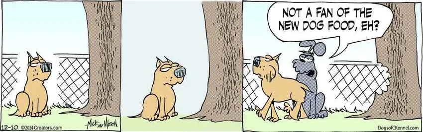 Dogs of C-Kennel for Dec 10, 2024