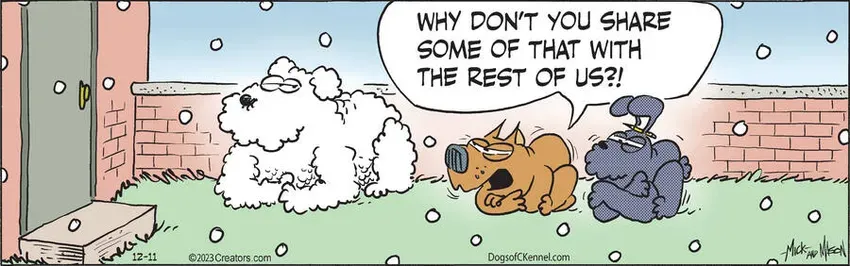 Dogs of C-Kennel for Dec 11, 2023