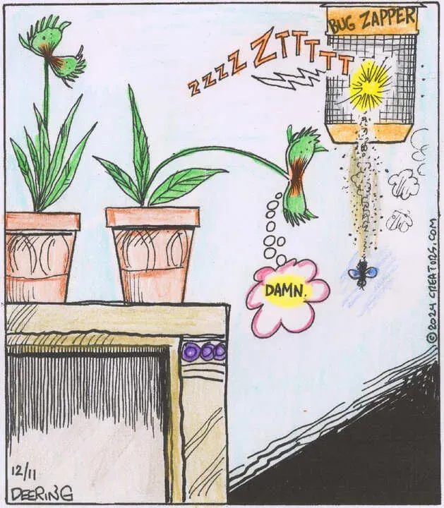 Strange Brew for Dec 11, 2024