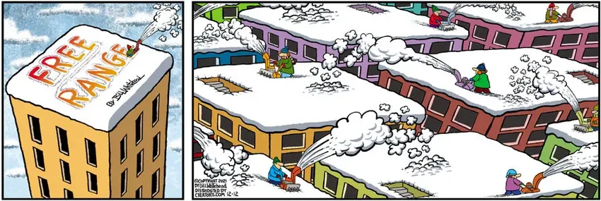 Free Range for Dec 12, 2021