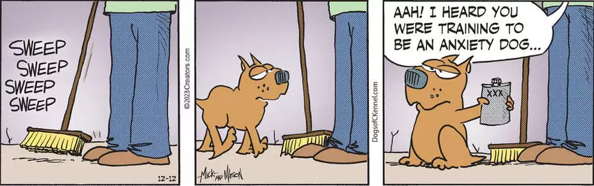 Dogs of C-Kennel for Dec 12, 2023