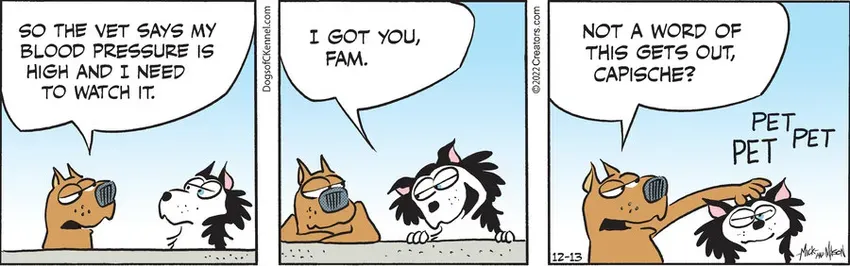 Dogs of C-Kennel for Dec 13, 2022