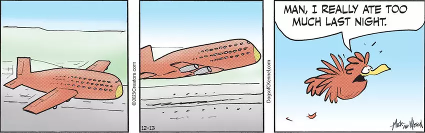 Dogs of C-Kennel for Dec 13, 2023