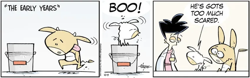 The Barn for Dec 13, 2024