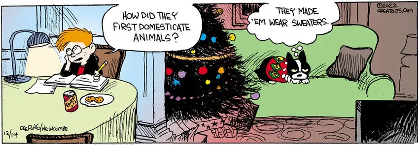 Zack Hill for Dec 14, 2022