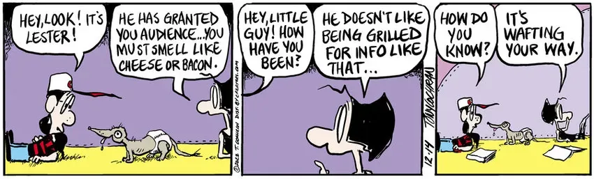 Agnes for Dec 14, 2022