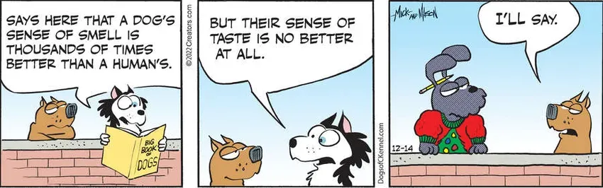 Dogs of C-Kennel for Dec 14, 2022