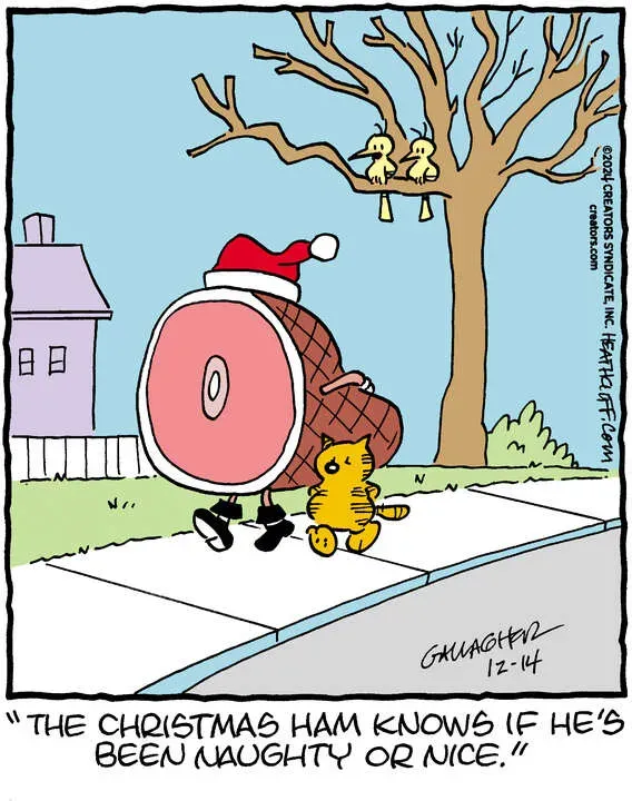 Heathcliff for Dec 14, 2024