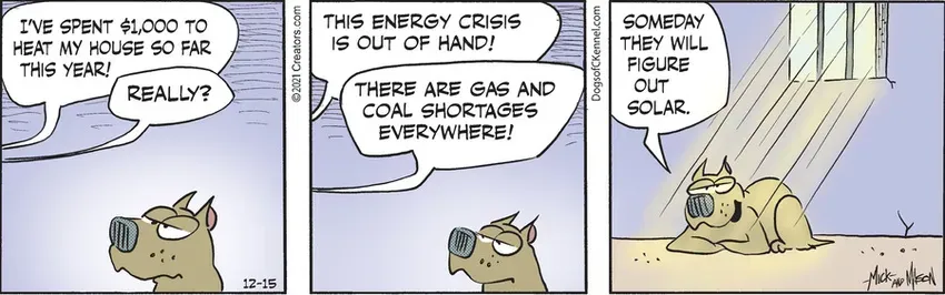 Dogs of C-Kennel for Dec 15, 2021