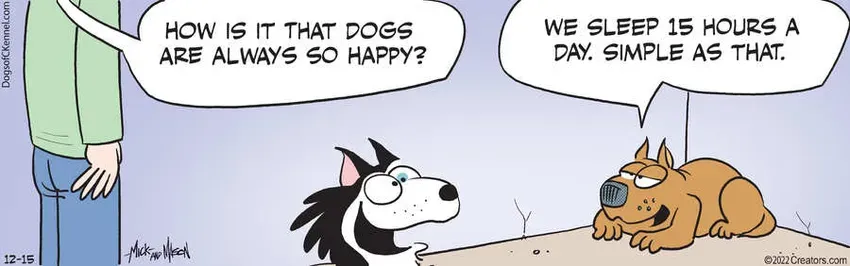 Dogs of C-Kennel for Dec 15, 2022