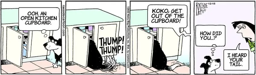 The Other Coast for Dec 15, 2022