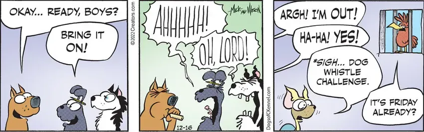 Dogs of C-Kennel for Dec 16, 2022